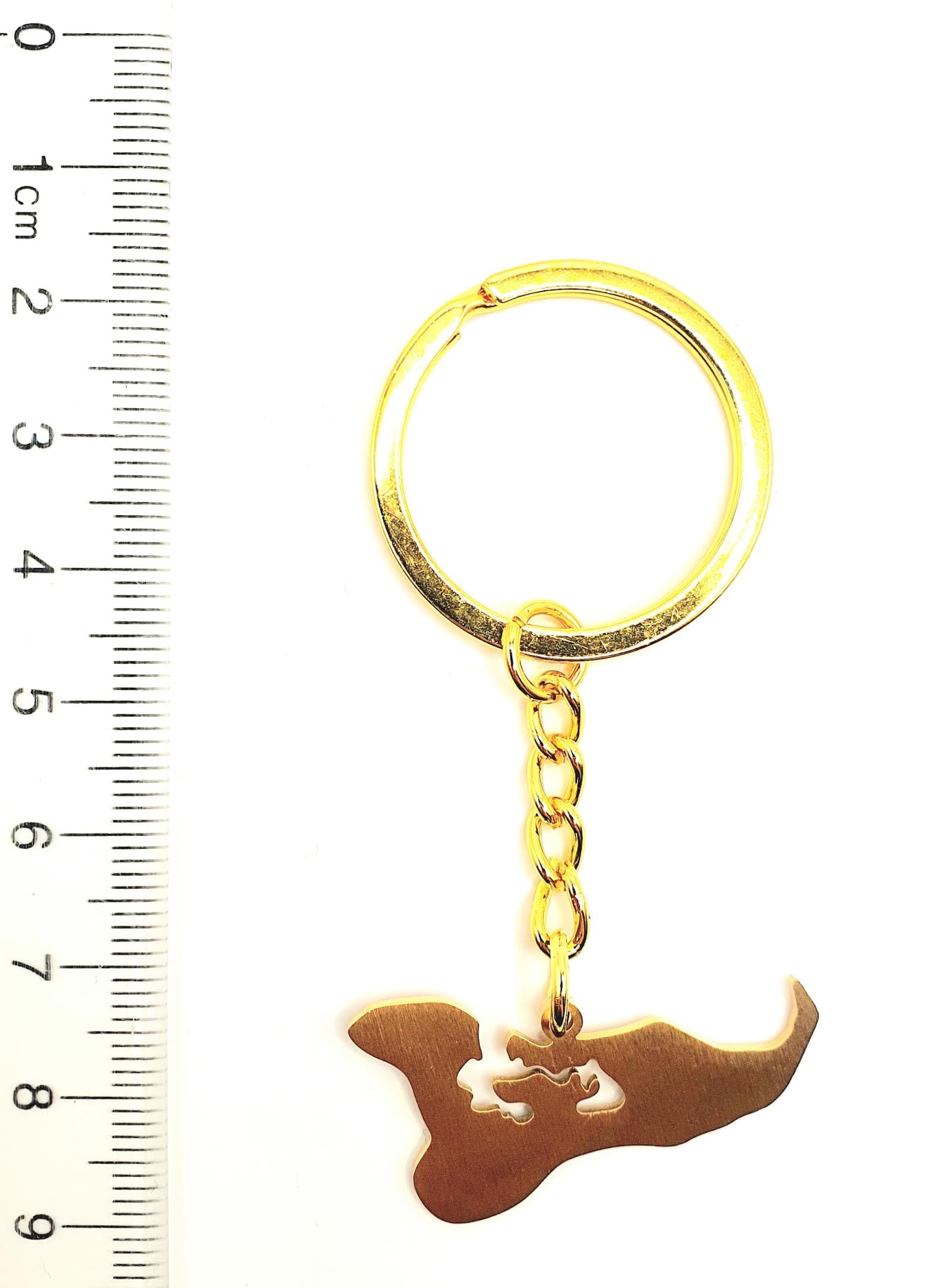 SNS Components Tonga Oceana Pacific Map Outline Gold Country Flag Key Ring Chain Metal Enamel Keyring