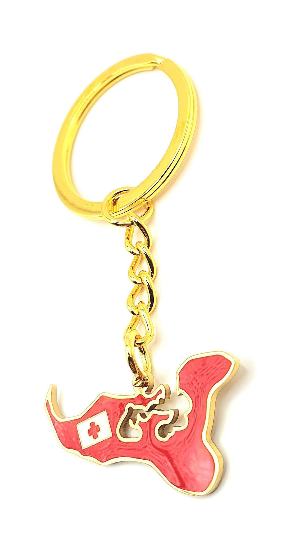 SNS Components Tonga Oceana Pacific Map Outline Gold Country Flag Key Ring Chain Metal Enamel Keyring