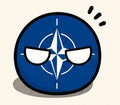 NATO Country Ball 400g 12cm Country Plushie