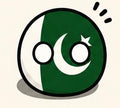 Pakistan Country Ball 400g 12cm Country Plushie