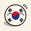 South Korea Country Ball 400g 12cm Country Plushie