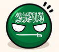 COMING SOON Saudi Arabia Country Ball 400g 12cm Country Plushie